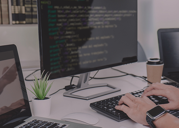 JAVA Programming